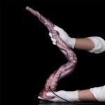 Siren™ — Tentacle Dildo Fantasy Sex Toy [Stock]